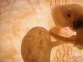 单身做试管混血多少钱啊做个混血试管婴儿多少钱？