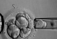 2026年襄阳助孕公司排名揭晓，您的信赖之选都在这里！